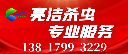宿迁杀虫服务.png